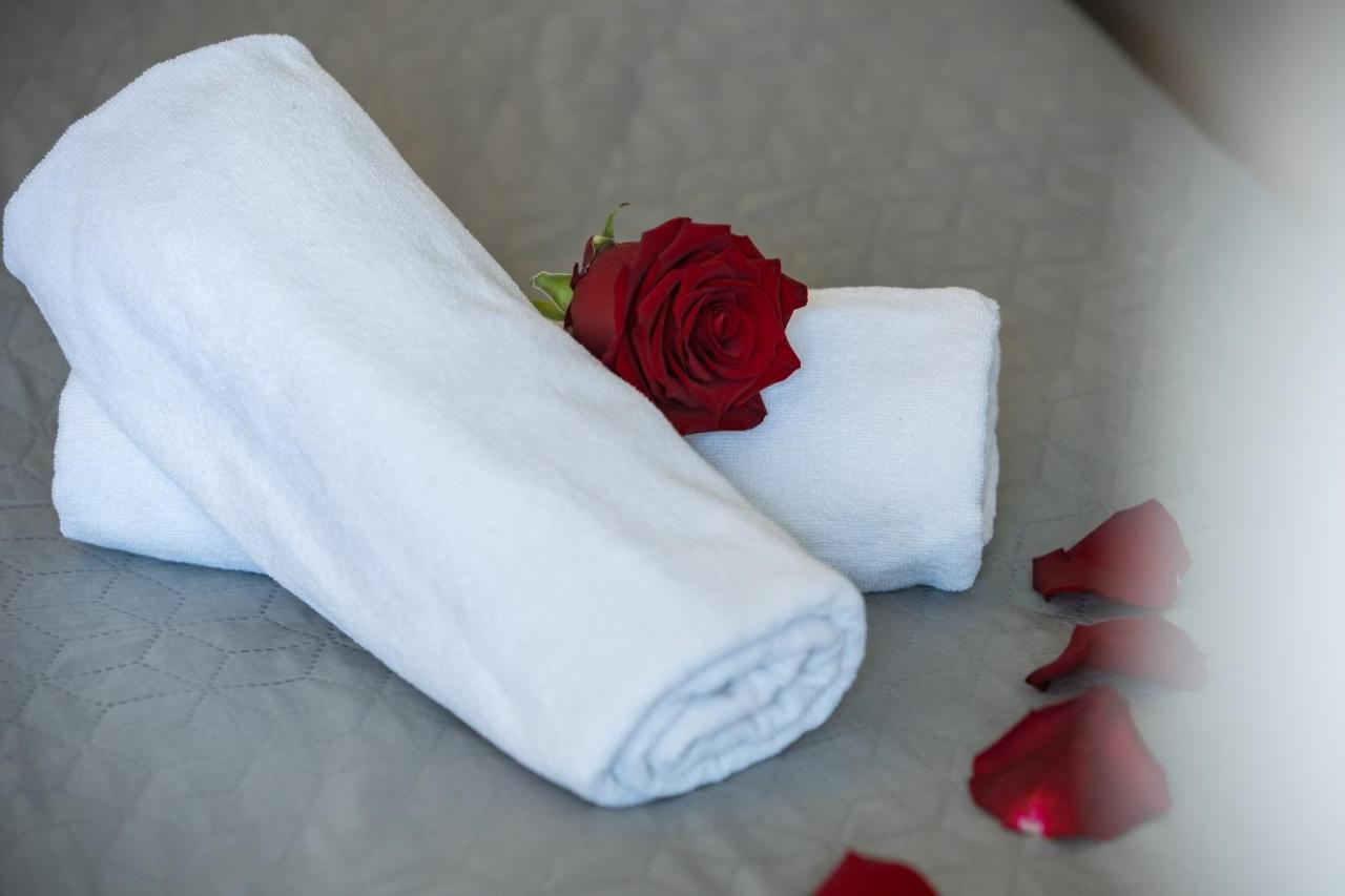 Villa Alena Porec Ngoại thất bức ảnh